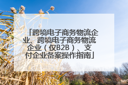 跨境电子商务物流企业、跨境电子商务物流企业（仅B2B）、支付企业备案操作指南